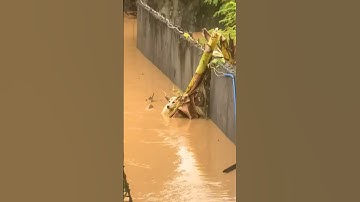 Unbelievable floods caught on camera #viral #trending #floods #flood #Disaster #nature #viral
