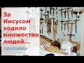 За Иисусом ходило множество людей...