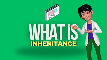 What is Inheritance? | Inheritance Explained with Examples | Object-Oriented Programming Basics