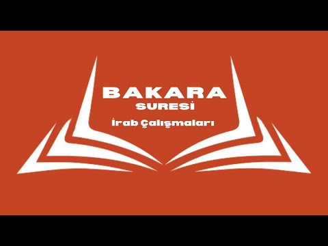 Bakara Suresi 04 - Kitap/Hitap, Rivayetler Üstünden Siyer, Akıl Bahsi, Soru & Cevap