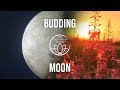 Budding Moon – Chinese Full Moon Yoga, Meditation &amp; Relaxation in February 2019