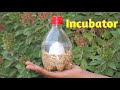 How To Make Incubator For Chicken Eggs | Egg Hatching Result 2020