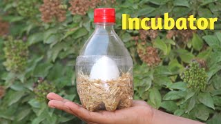 How To Make Incubator For Chicken Eggs | Egg Hatching Result 2020