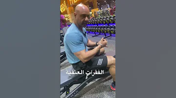 الفقرات العنقية 