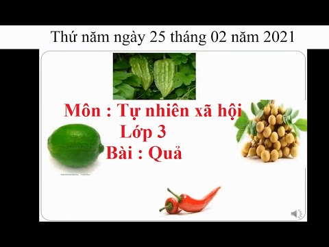 TNXH lớp 3 : Quả - tuần 24