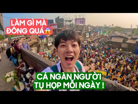 Video: Những điều tốt nhất để làm ở Kolkata