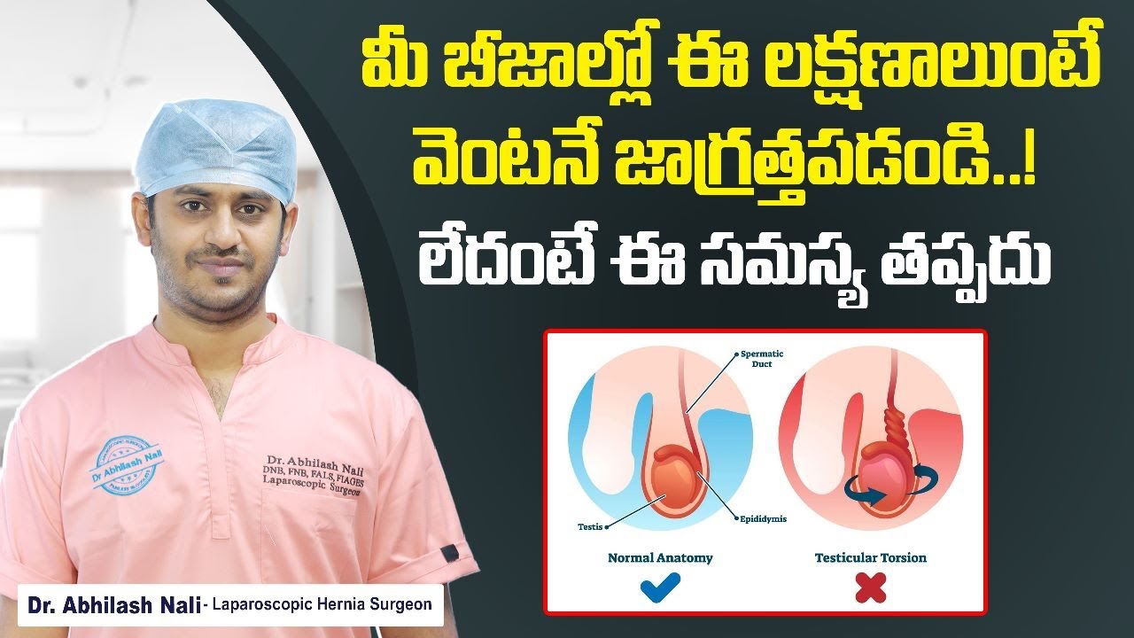 Testicular Torsion Symptoms and Treatment in Telugu Causes of