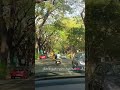 தளபதி Movie song whatsapp status #shorts #illayaraja #spb #ytshorts #trendingshorts #travel