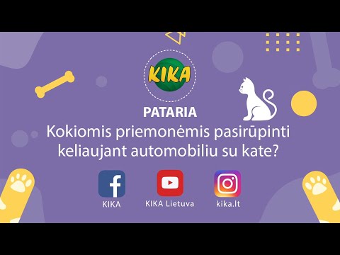 KIKA pataria: kokiomis priemonėmis pasirūpinti keliaujant automobiliu su kate?