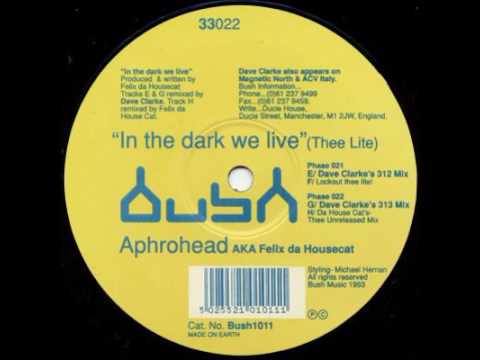 Aphrohead - In The Dark We Live (Dave Clarke's 313 Mix) - In The Dark We Live (Thee Lite)