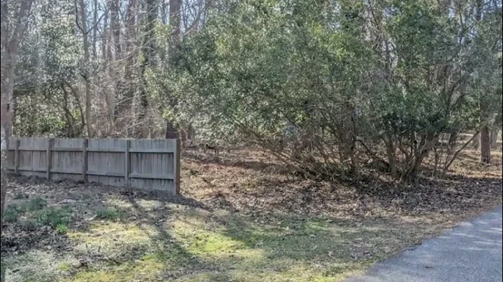 Homes for Sale - 118 Lafayette RD, York County, VA