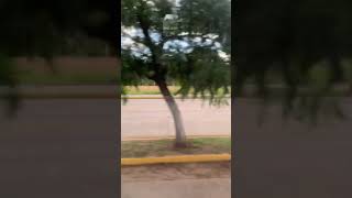 Atotonilco El Alto Jalisco