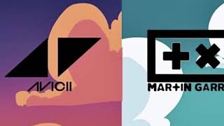 Martin Garrix Vs Avicii - Pizza Vs Wake Me Up