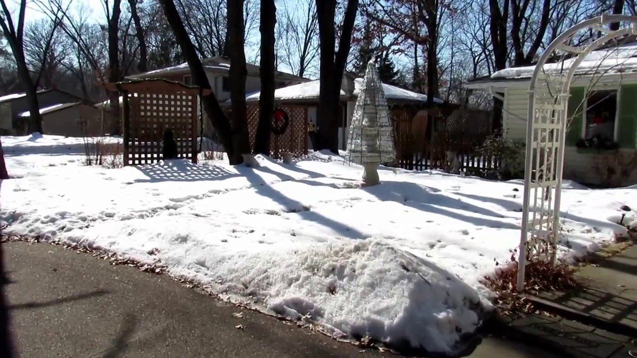 Our garden in the winter YouTube