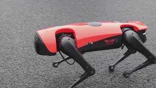 犬型ロボット「アルファ・ドッグ」、上海でお披露目
