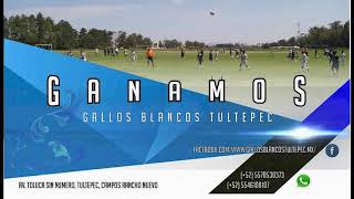 Gallos Blancos Tultepec Partido 2003