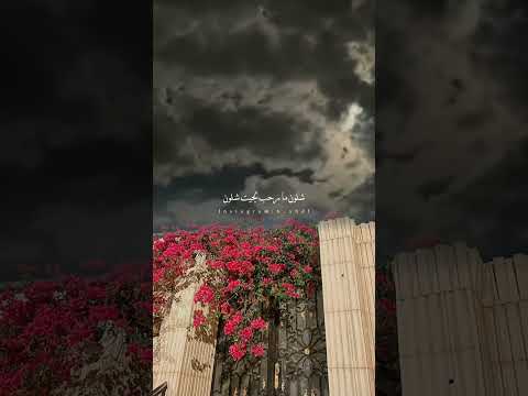 يا المترف المتكامل المزيون نادر الشراري حالات واتس اب تصميمي