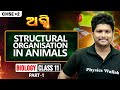 Structural Organization in Animals Class 11 Biology One Shot🔥 | +2 1st Year Zoology | Debanand Sir