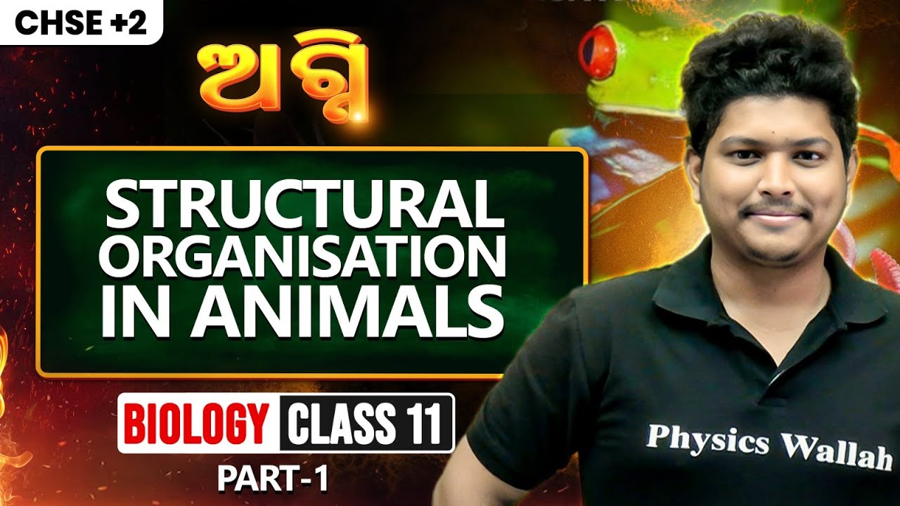 Structural Organization in Animals Class 11 Biology One Shot🔥 | +2 1st ...