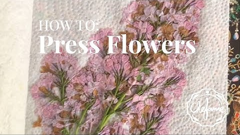 How to Press Flowers in a Book