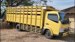 Truk Long Harganya 400 Juta Untuk Muatan Sapi