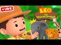  live leo the wildlife ranger  best animals ocean and jungle rescues  kids cartoons