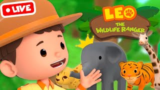 LIVE Leo The Wildlife Ranger | Best Animals, Ocean and Jungle Rescues! | Kids Cartoons