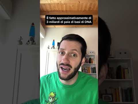 Video: Quanti dati ci sono nel genoma umano?