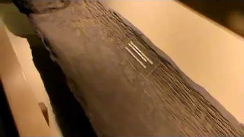 Prehistoric Indian Dugout Canoe found in Ohio -circa 1500 AD