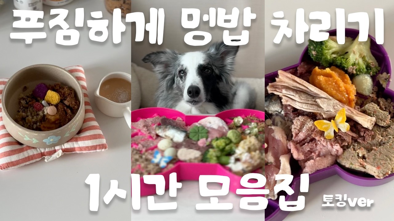 강아지 밥 퀄리티 무엇,, 푸짐하게  개 밥 차려주기 1시간 모음집 l 토킹ver l 강아지 외식 영상 모음집