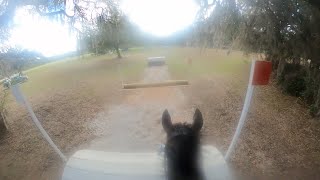 Soft Focus GoPro: Tullymurry Fifi (Open Intermediate | 2023 Rocking Horse Winter II Horse Trials) screenshot 2