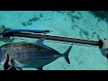 Shallow Reef Spearfishing Moorea - AbeSherry