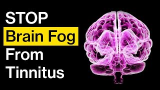 5 Ways To STOP Tinnitus Brain Fog