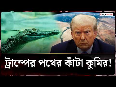 নীল নদের কুমিরই কি আটকে দেবে ট্রাম্পের সব নির্মাণ প্রকল্প? | Trump Projects | Jago News