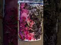 Dried flowers and watercolor meet for my 100 days of nature art #the100dayproject #natureart