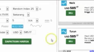 collection binary.com tricks Rise Fall $10 Profit $1000