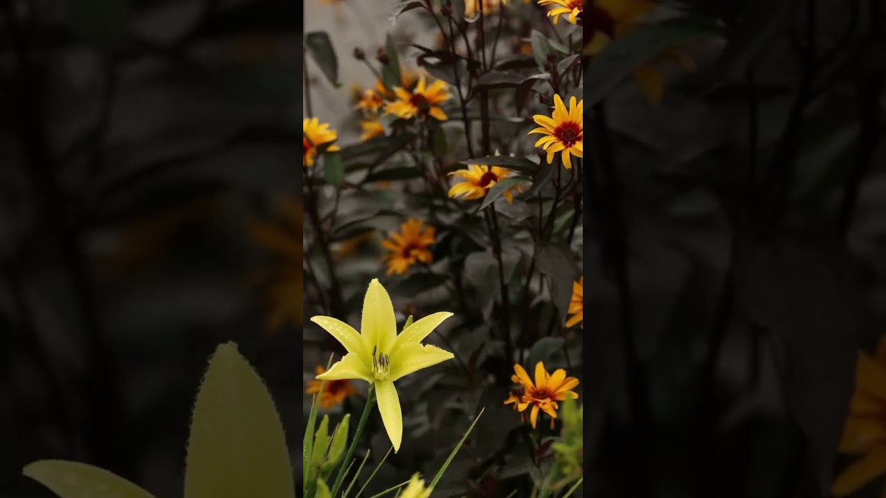 Mini Meditation for Releasing Self-Judgment | Affirmation + Journal Prompt