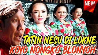 Tatin muring muring di lokne koyo nongko blonyoh karo pak seno gae ngakak kabeh