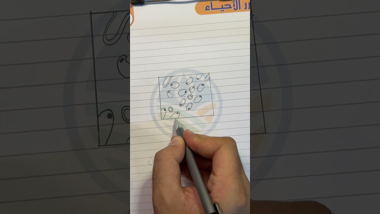 رسم النسيج الضام الشحمي