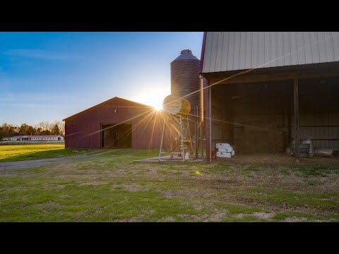 2348 Ben Williams Rd, Shelbyville, TN home video tour