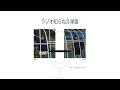 第六十二回 忘れるvs忘れない【ラジオ知らねえ単語】