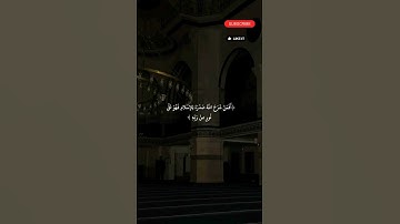 #سورة_الزمر #آيات_القرآن #المصحف #استغفر_الله #راحة_نفسية #الرحمن #لايك #اكسبلور #دويتو  #ترند