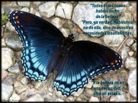 Khalil Gibran - La Belleza - Libro El Profeta - YouTube