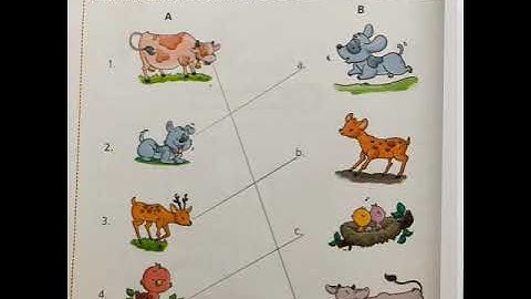 Class 2 EVS Lesson-9  (More on Animals).   (i)