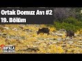 Ortak Domuz Avı 2  impala Günlükleri 19. Bölüm  Wild Boar Hunting Yaban Tv