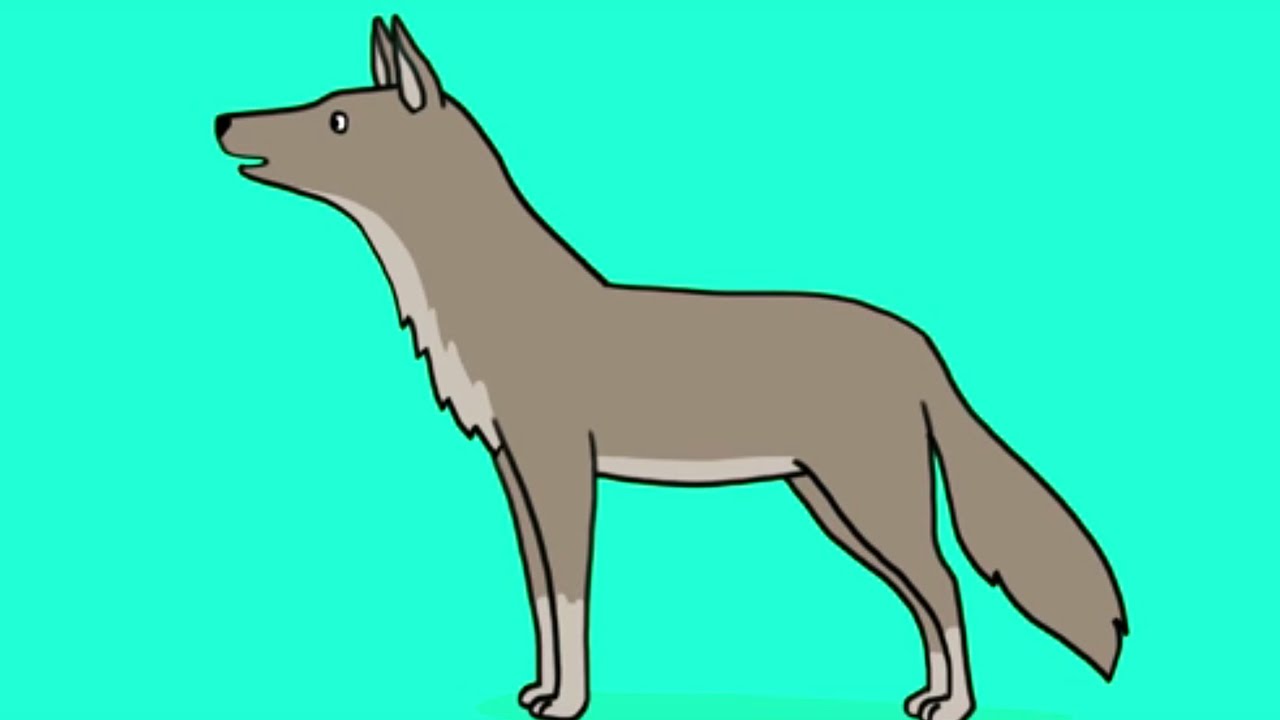 Apprendre à Dessiner Un Loup