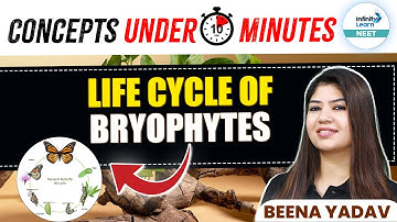 Life Cycle of Bryophytes | Concepts Under 10 Minutes | NEET 2025 | NEET Botany |@InfinityLearn_NEET