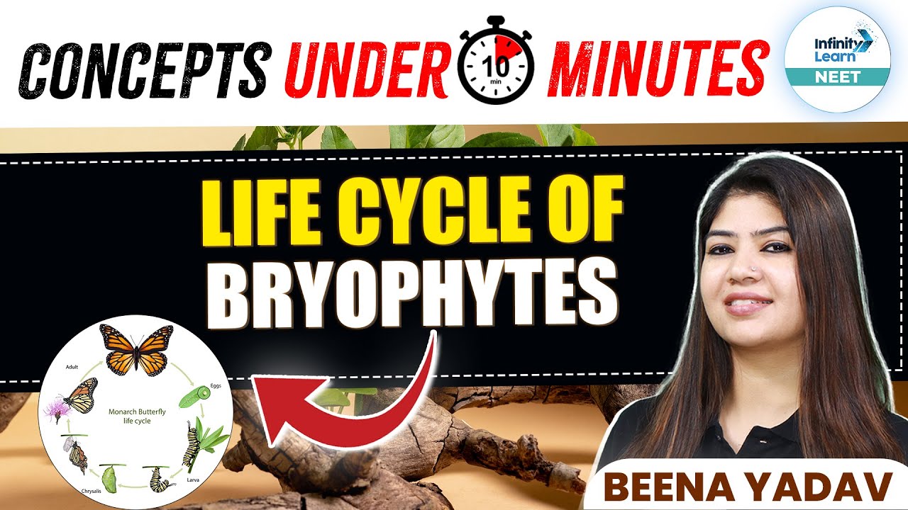 Life Cycle of Bryophytes | Concepts Under 10 Minutes | NEET 2025 | NEET Botany |@SriChaitanyaAcademyNEET