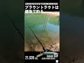 ルアーフィッシング好きにはたまらない瞬間③ #エリアミノーイング #管理釣り場 #shorts