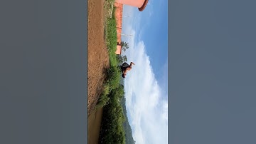 View 😍 #backflip#height#viral